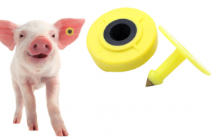 125KHz RFID Ear Tag For Pig