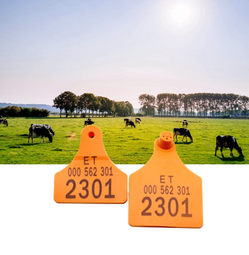 UHF Cattle Tags 2 UHF 860 MHz-960 MHz Ear RFID Tag