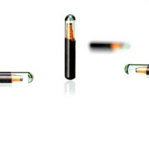RFID Glass Tag