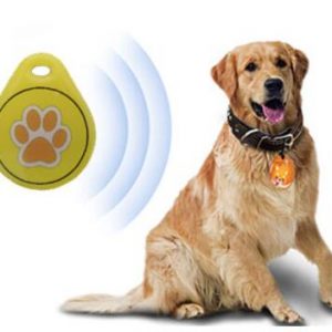 RFID Epoxy Tag for Dog
