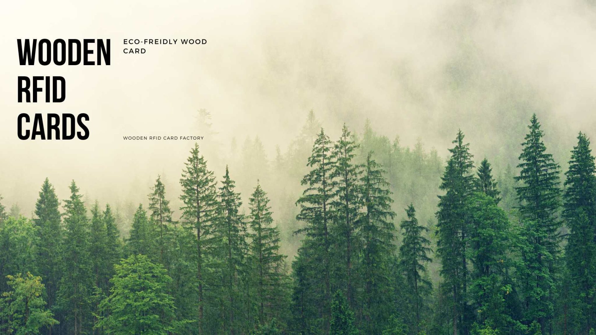 Calmness Forest Desktop Wallpaper compressed