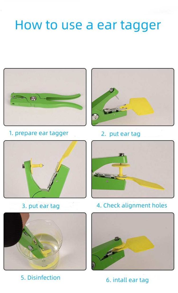 How to Use an Ear Tag Applicator
