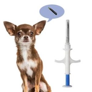 RFID PET Microchip