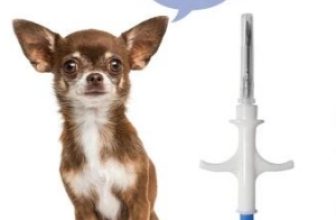 Choosing the Right Animal Identification Technology Pit Tags vs Microchips