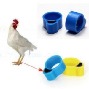 chicken rfid tag