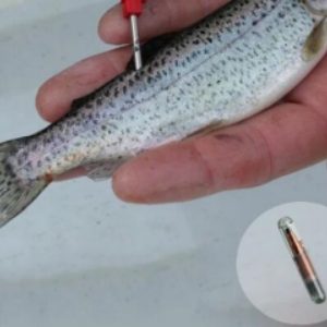 rfid fish tag