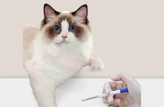 ISO Compatible Microchips ensuring the Safety of Your Pet