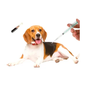FDX-B RFID Dog Microchips Premium Implantable Animal Identification Solutions
