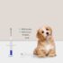 ISO Compatible Microchips ensuring the Safety of Your Pet