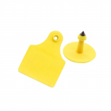What Are RFID ear tags